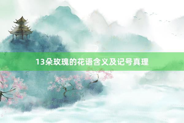 13朵玫瑰的花语含义及记号真理