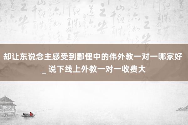 却让东说念主感受到鄙俚中的伟外教一对一哪家好 _ 说下线上外教一对一收费大