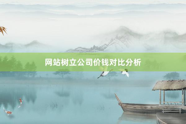 网站树立公司价钱对比分析